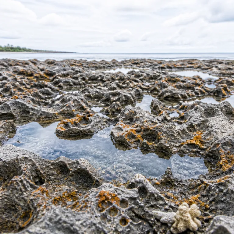 Belize Honeymoon Packages: How to Choose the Right Jungle‑and‑Reef Escape